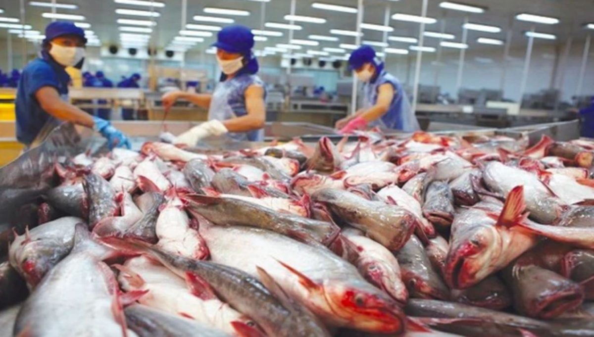 Theo Hiệp hội Chế biến và Xuất khẩu Thủy sản Việt Nam (VASEP) cho biết