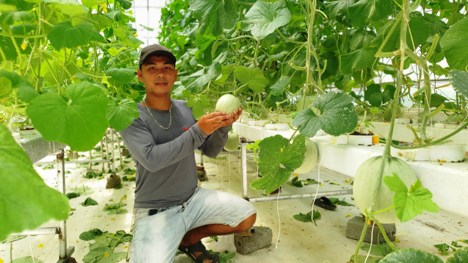 Độc đáo bán rau sạch từ lúc... chưa trồng