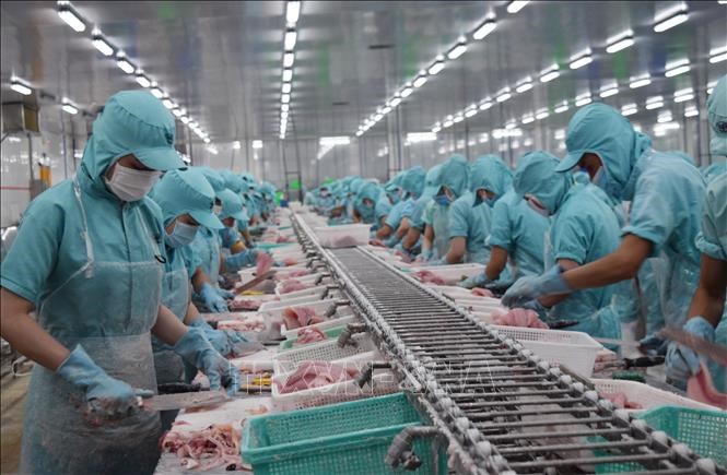 Peru phê chuẩn Hiệp định CPTPP – cơ hội thúc đẩy xuất khẩu của Việt Nam