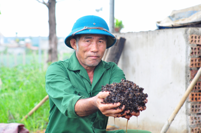 Làm 'sống lại' đất trồng cà phê nhờ sản xuất hướng hữu cơ