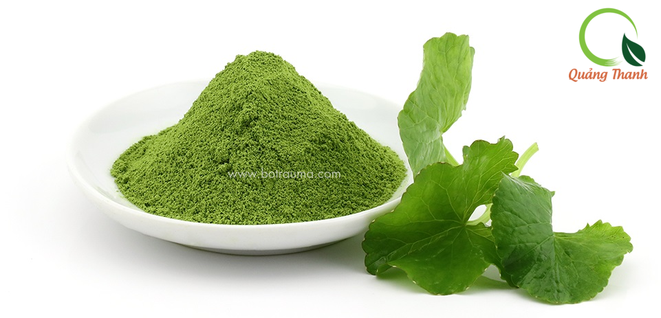 BỘT RAU MÁ QUẢNG THANH – NGON MÊ LY
