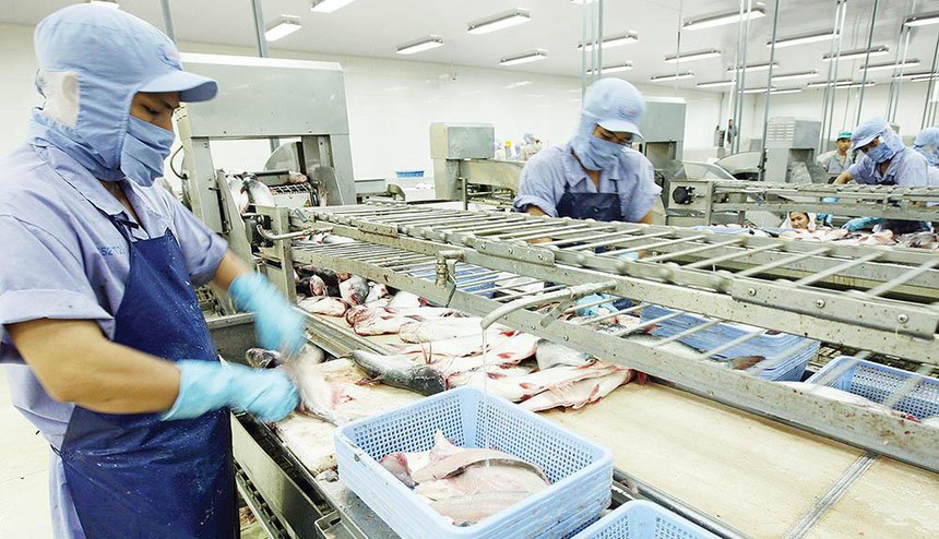 Tận dụng ưu đãi thuế quan từ 3 FTA khi xuất hàng đi Nhật