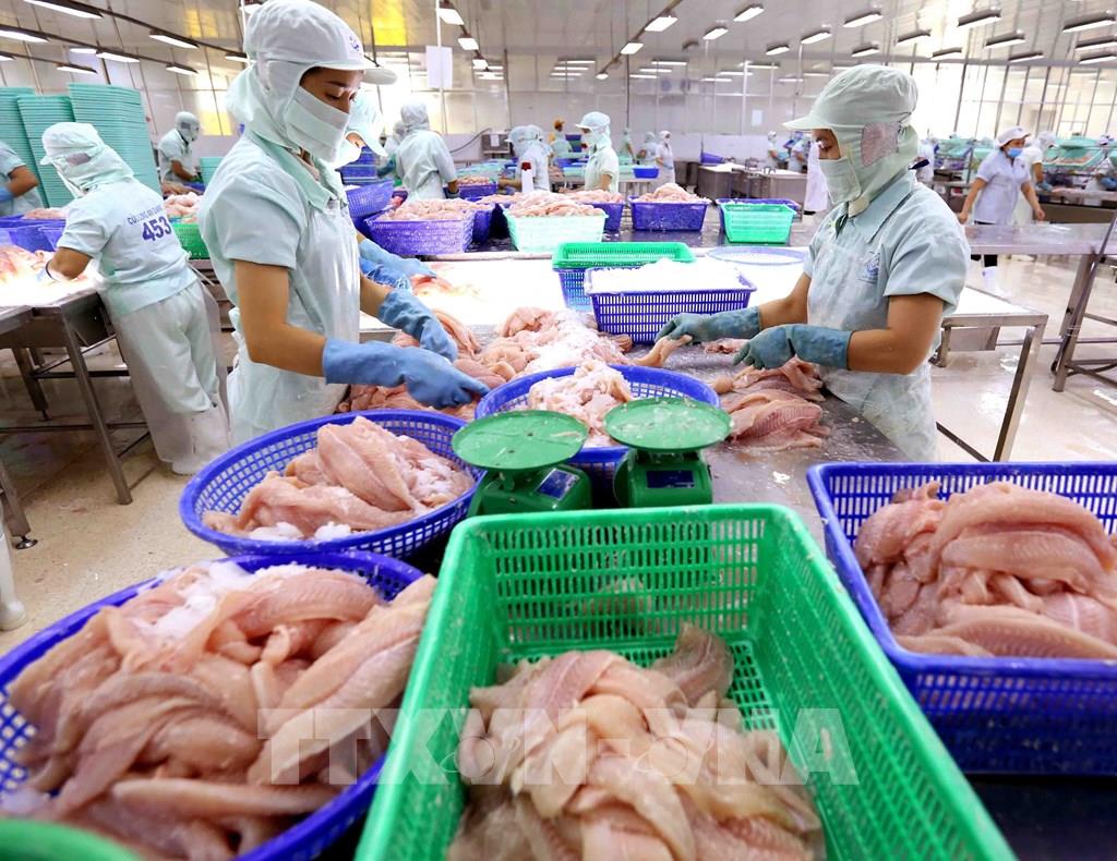 Phòng vệ thương mại khi tham gia các FTA: “Van an toàn” trong chính sách ngoại thương