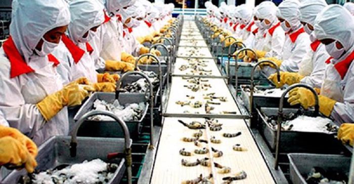 Thủy sản xuất khẩu sang Âu Mỹ nhọc nhằn vì các loại phí logistics tăng đột biến