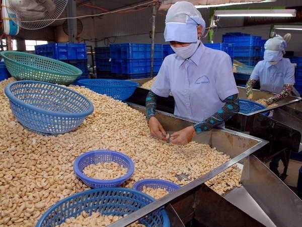 Bộ Công Thương hỗ trợ “giải cứu” 36 container điều bị mất kiểm soát