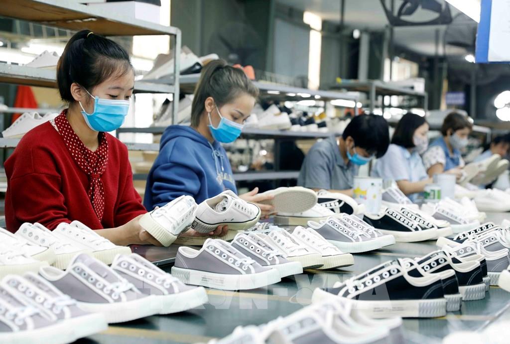 Hỗ trợ doanh nghiệp nắm chắc quy định về phòng vệ thương mại trong RCEP