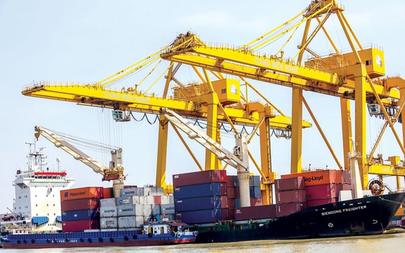 Cước tàu biển đang leo đỉnh, DN xuất khẩu đứng ngồi không yên