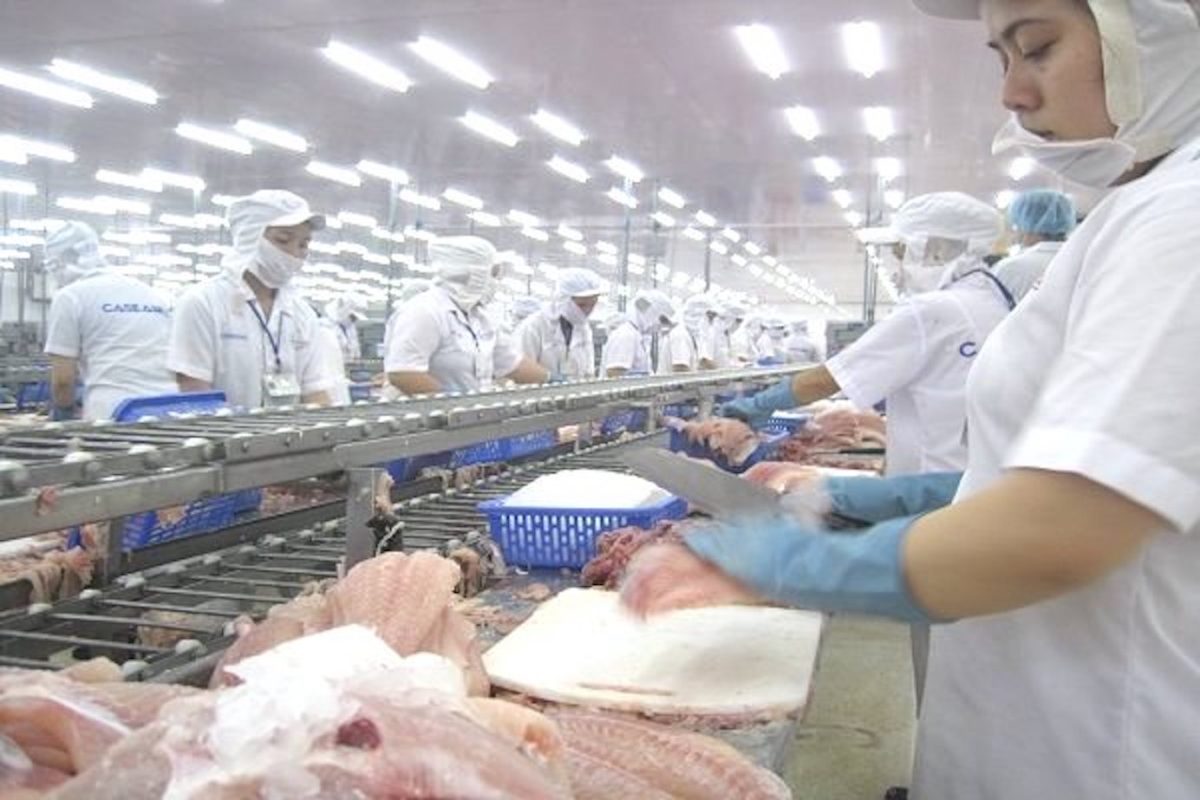 Từ 3-5, dư lượng thuỷ ngân tối đa cho phép khi xuất khẩu thuỷ sản vào EU là 1μg/kg