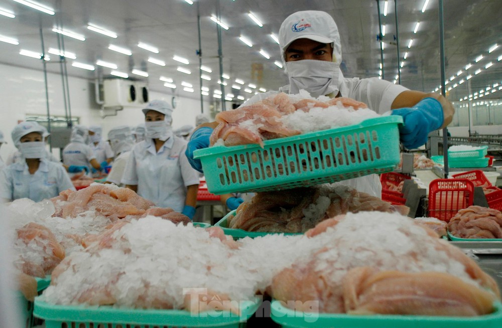Cá tra Việt Nam ‘đi’ hội chợ thủy sản toàn cầu ở Tây Ban Nha