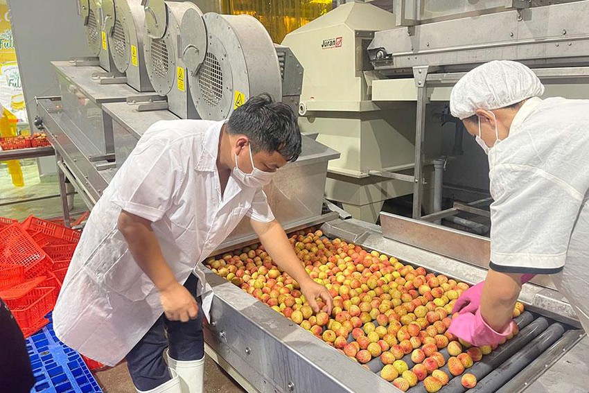 Học cách người Thái đưa nông sản vào Trung Quốc
