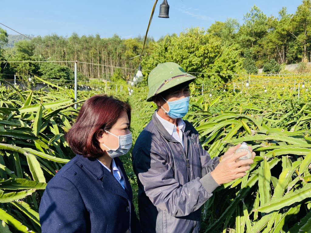 Đừng để ‘tấm vé’ xuất khẩu trái cây hẹp vì bất cập mã số vùng trồng, cơ sở đóng gói