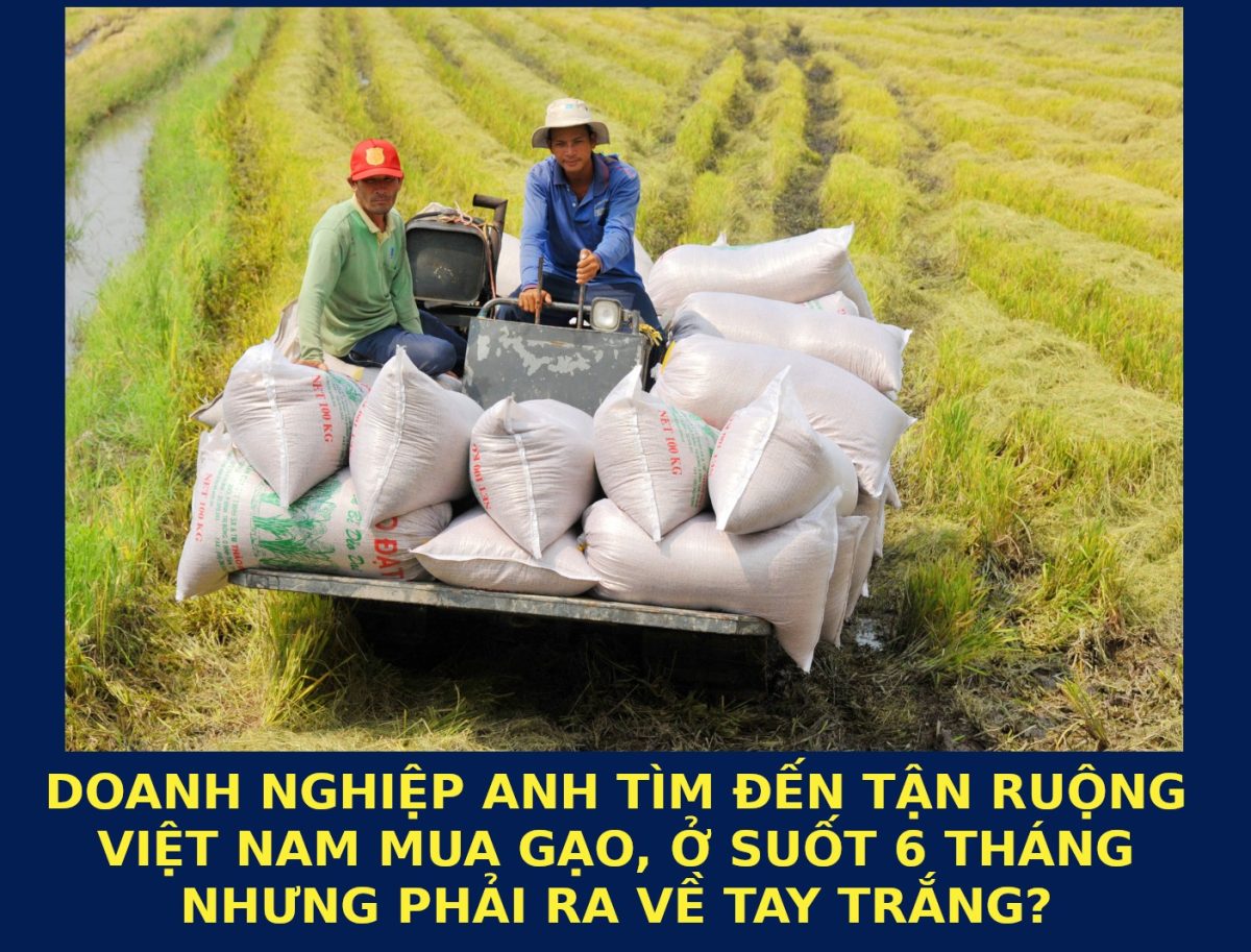 DOANH NGHIỆP ANH TÌM ĐẾN TẬN RUỘNG VIỆT NAM, Ở SUỐT 6 THÁNG NHƯNG PHẢI RA VỀ TAY TRẮNG