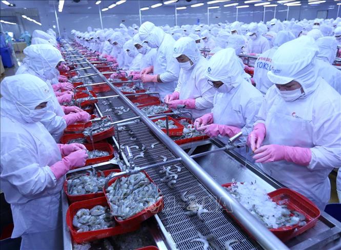 Hiệp định CPTPP – Cơ hội và thách thức với xuất khẩu Việt Nam