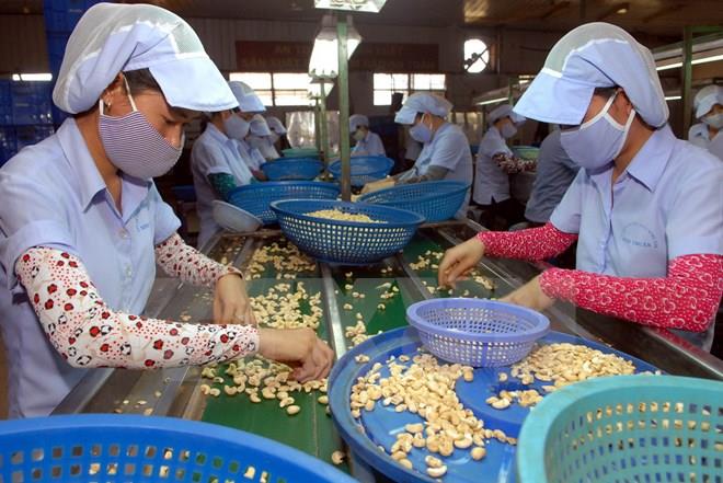 Đa dạng thị trường để đẩy mạnh xuất khẩu