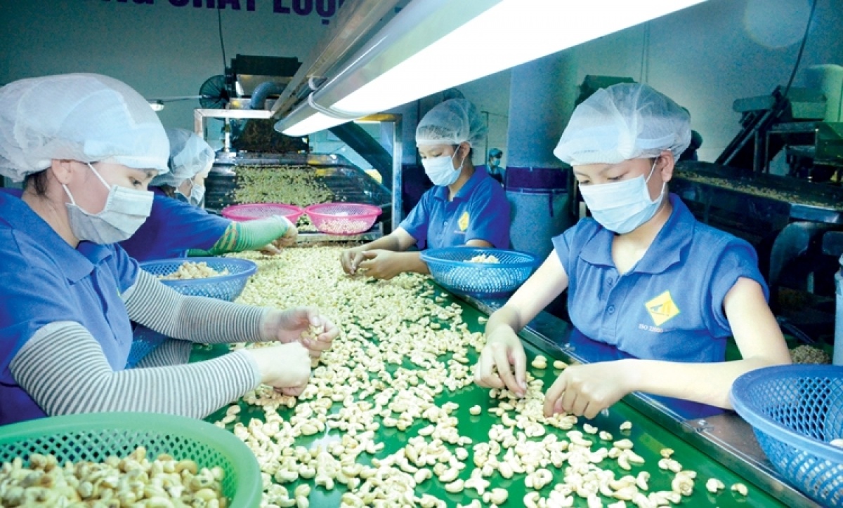 Bẫy’ lừa đảo thương mại quốc tế rất tinh vi, doanh nghiệp Việt cần thận trọng