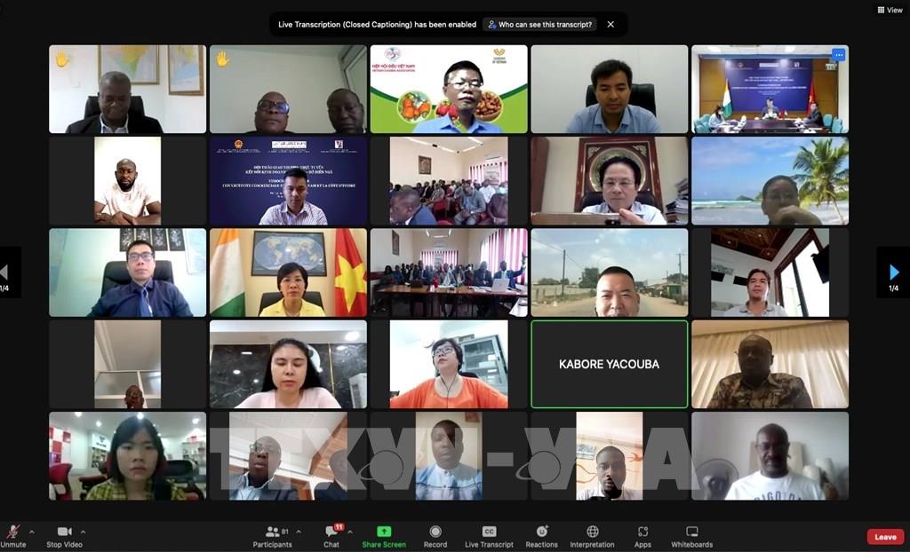 Kết nối kinh doanh Việt Nam – Cote d’Ivoire