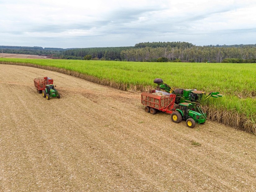 TTC AgriS đồng hành cùng nông dân phát triển bền vững vùng nguyên liệu