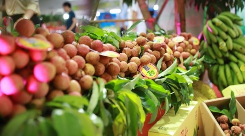 Lạc quan triển vọng xuất khẩu rau quả đầu năm 2023
