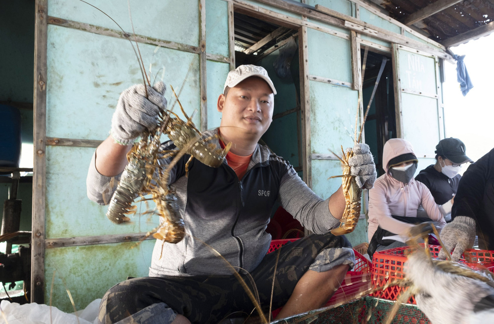 Nông thủy sản sang Trung Quốc ‘rộng cửa’ nhưng… vướng rào