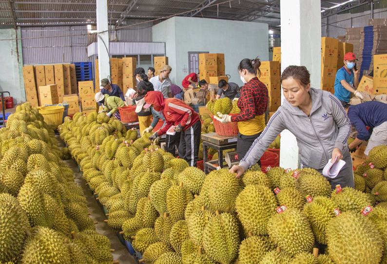 Nâng cao chất lượng hàng hóa xuất khẩu để đáp ứng yêu cầu khắt khe từ Trung Quố