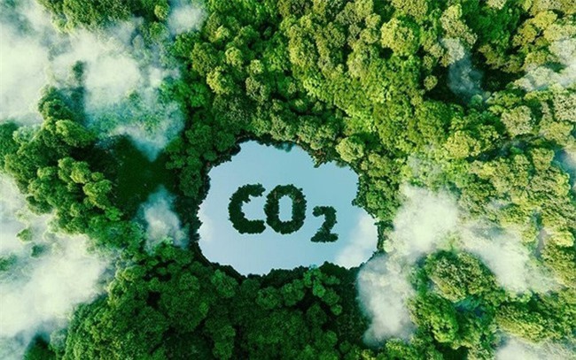 Thị trường tín chỉ carbon Việt Nam: Nhiều doanh nghiệp mong mỏi