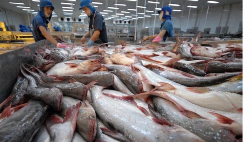 Xuất khẩu thủy sản năm 2023 có thể mang về 9,2 tỷ USD