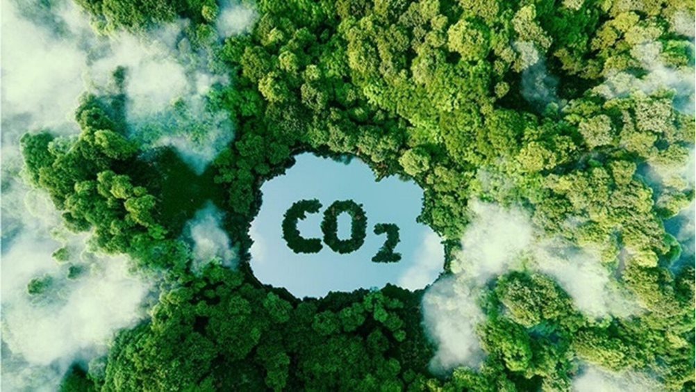 Tham gia thị trường tín chỉ carbon: Việt Nam cần làm gì?